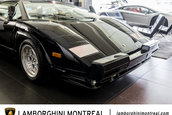 Lamborghini Countach 25th Anniversary de vanzare