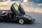 Lamborghini Countach 25th Anniversary de vanzare