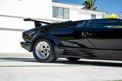 Lamborghini Countach 25th Anniversary de vanzare