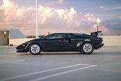 Lamborghini Countach 25th Anniversary de vanzare
