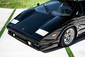 Lamborghini Countach 25th Anniversary de vanzare