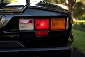 Lamborghini Countach 25th Anniversary de vanzare