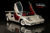 Lamborghini Countach Coda Plexi de vanzare