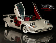 Lamborghini Countach Coda Plexi de vanzare