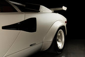 Lamborghini Countach Coda Plexi de vanzare