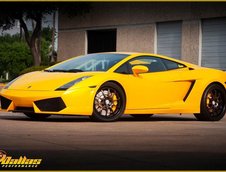 Lamborghini Gallardo by Dallas Performance