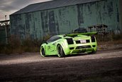 Lamborghini Gallardo by ZR Auto