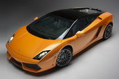 Lamborghini Gallardo LP560-4 Bicolore