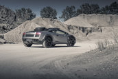 Lamborghini Gallardo Offroad