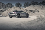 Lamborghini Gallardo Offroad