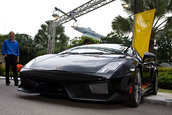 Lamborghini Gallardo Singapore Limited Edition - 10 masini umanitare