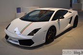 Lamborghini Gallardo Tricolore - Poze Reale