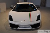 Lamborghini Gallardo Tricolore - Poze Reale