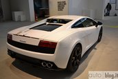 Lamborghini Gallardo Tricolore - Poze Reale