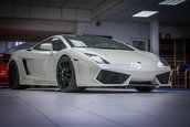 Lamborghini Gallardo TT de vanzare