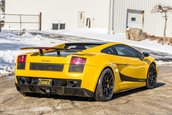 Lamborghini Gallardo Turbo de vanzare