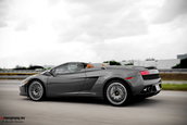 Lamborghini Miami Ocean Reef Run 2009
