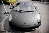 Lamborghini Miami Ocean Reef Run 2009