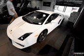 Lamborghini Miami Ocean Reef Run 2009
