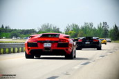 Lamborghini Miami Ocean Reef Run 2009
