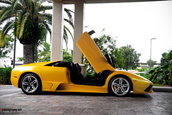 Lamborghini Miami Ocean Reef Run 2009