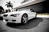Lamborghini Miami Ocean Reef Run 2009