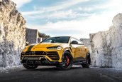 Lamborghini Urus de la Manhart