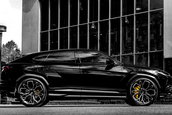 Lamborghini Urus de la Wheelsandmore