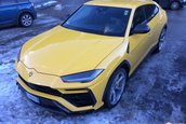 Lamborghini Urus in Alpi