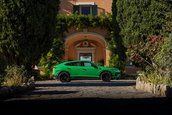 Lamborghini Urus Performante - Galerie foto