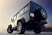 Land Rover Defender by Vilner - Galerie Foto