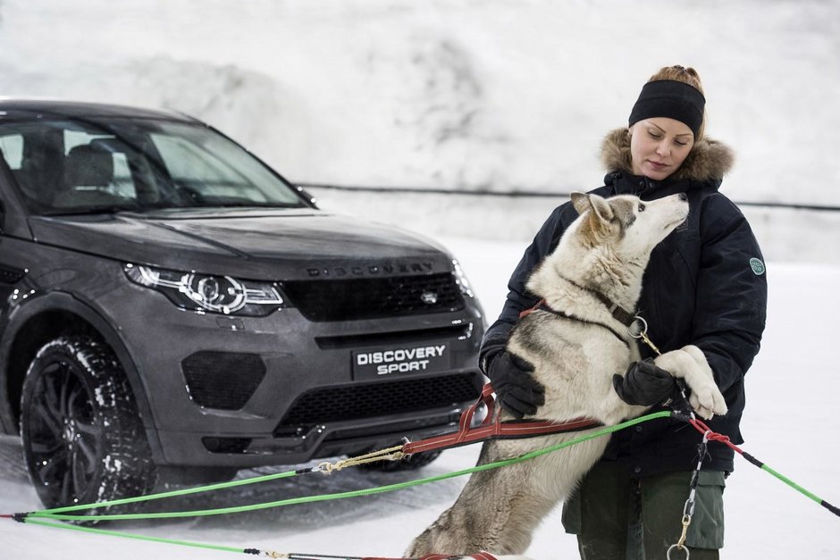 Land Rover Discovery Sport versus sanie trasa de caini