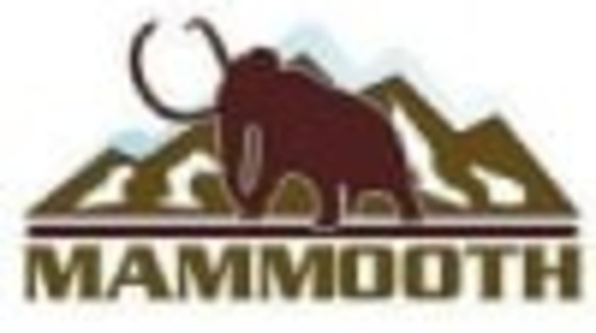 Lanturi DAEWOO ESPERO (KLEJ) MAMMOOTH MMT E9/60