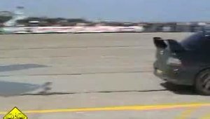 Legal Racing 01.05.2005 - Constanta - Viteza Filme curse la LIBER