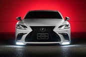 Lexus LS by Wald International