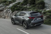 Lexus NX - Galerie foto