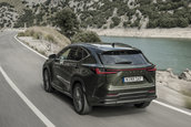 Lexus NX - Galerie foto