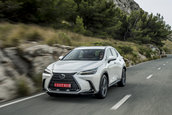 Lexus NX - Galerie foto