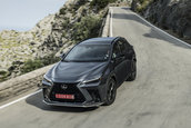 Lexus NX - Galerie foto