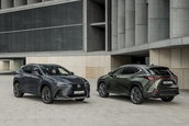 Lexus NX - Galerie foto