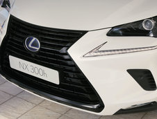 Lexus NX Sport