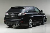 Lexus RX by Wald International