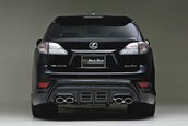 Lexus RX by Wald International