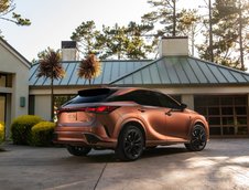 Lexus RX - Galerie foto