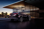 Lexus UX concept