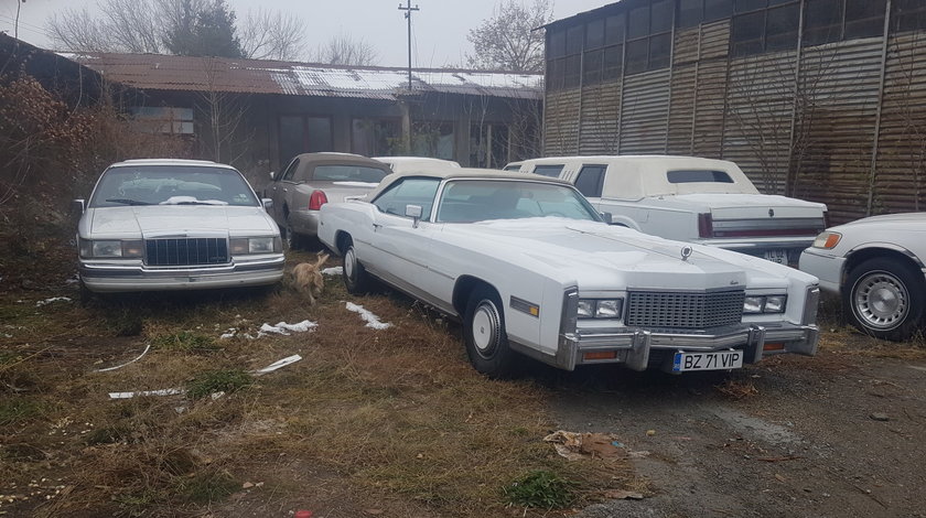 Lincoln town car 100 2000