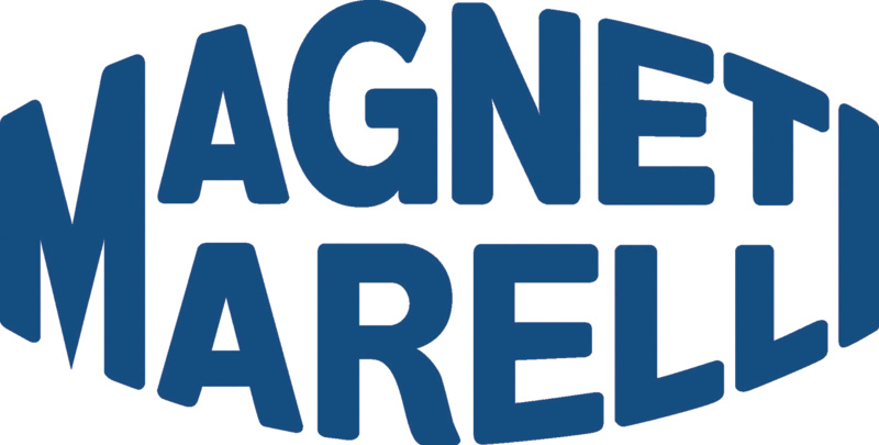 Linie De Inspectie Magneti Marelli 099996001010