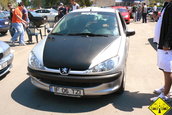 Liniute Mare 2007
