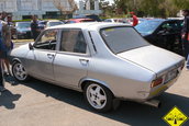 Liniute Mare 2007