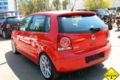 Liniute Mare 2007